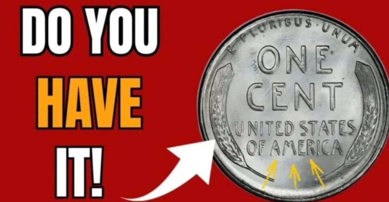 Discover the Hidden Treasure: